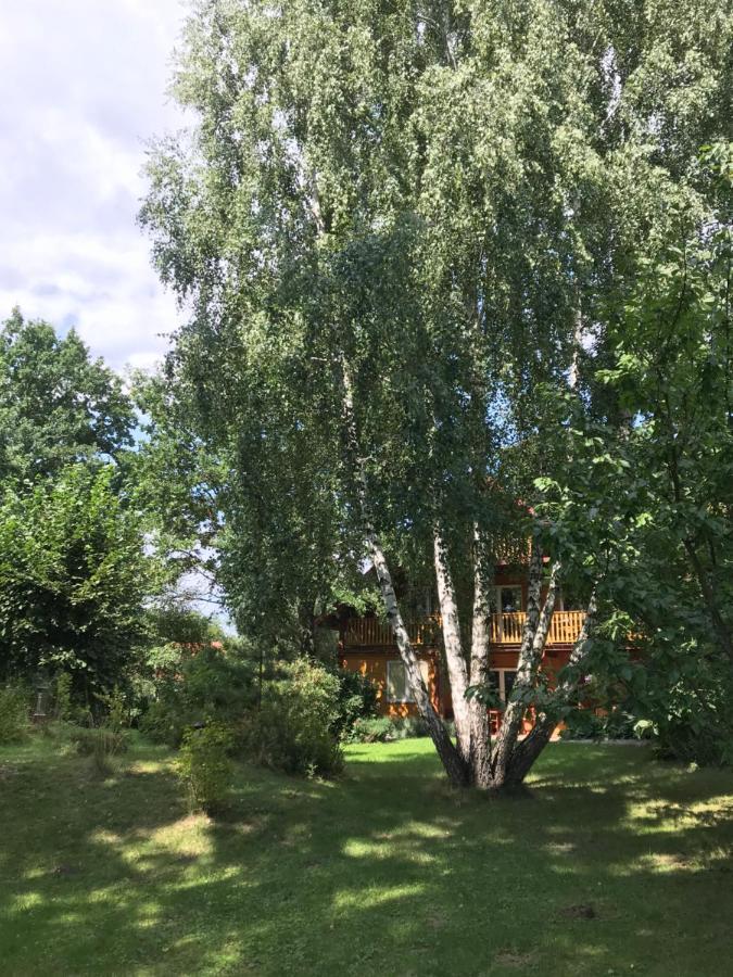 Pokoje Pod Debami Kazimierz Dolny Dış mekan fotoğraf